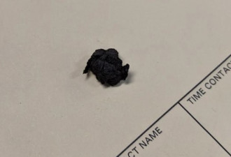 多伦多华人汽车保修期内出故障投诉无人受理