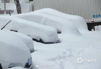 东北迎百年来最强降雪 市民眼看几十台车压垮