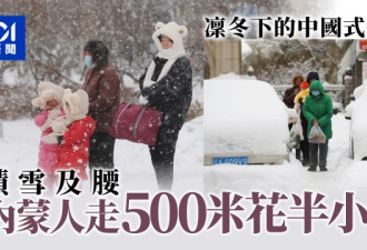 凛冬下的中国式生活：积雪及腰 半小时走500米