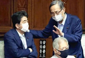 安倍重返政坛 正式就任日本自民党最大派系会长