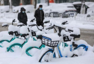 中国北方暴雪成灾 辽宁冻死640万禽畜
