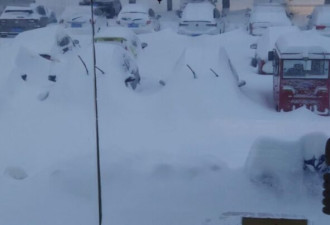 中国北方暴雪成灾 辽宁冻死640万禽畜