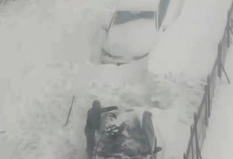 中国北方暴雪成灾 辽宁冻死640万禽畜