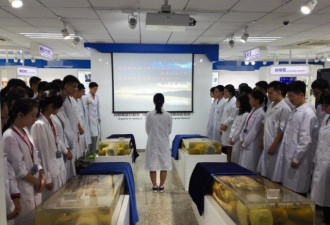 解剖台上，竟然躺着我的解剖学老师？