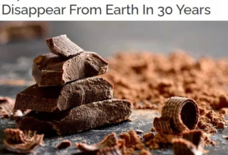 哭晕！人类三十年后就吃不上巧克力了？