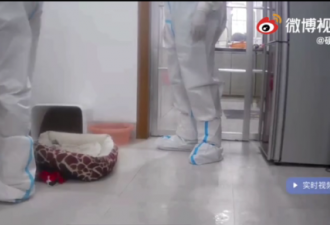 中国防疫：闯进未感染者家里 把宠物狗杀了