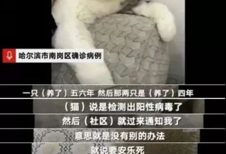 中国防疫：闯进未感染者家里 把宠物狗杀了