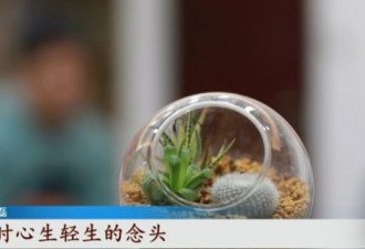 90后花1元看直播被骗30万:老婆本没了