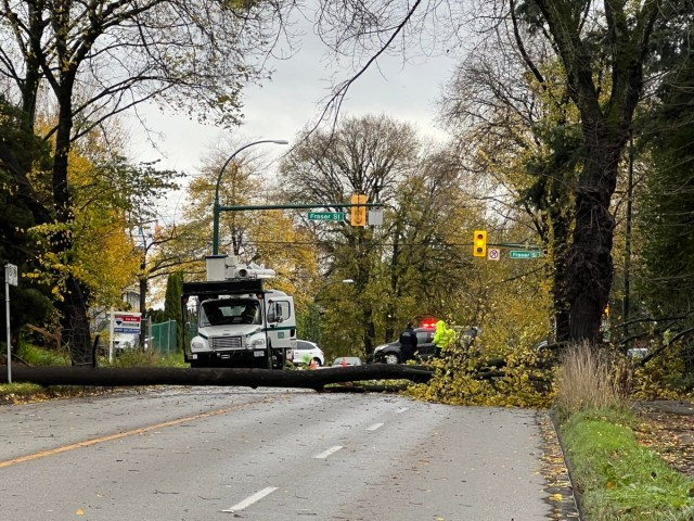 周一下午，温哥华东 12 大道一棵树倒下后，工作人员在现场。