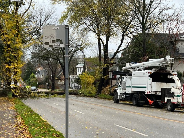 周一下午，温哥华东 12 大道一棵树倒下后，工作人员在现场。