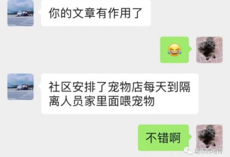 “无害化处理”成敏感词 背后防疫逻辑令人愤怒