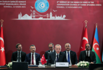 土耳其成立突厥国家组织 中共：企图分裂中国
