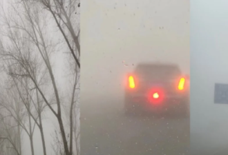 帝都变雾都 北京多城区突大雾 能见度低于100米