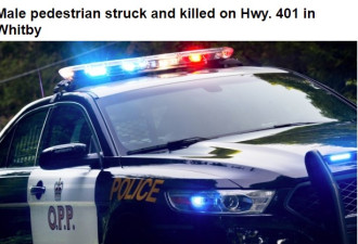 行人在401高速公路被撞身亡