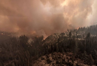 加州大火焚毁全球5%红杉树 工人出奇招