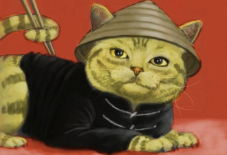 没流浪猫：一年百万只食猫的越南有多疯狂？