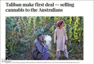 澳洲公司与阿富汗签4.5亿美元合同建大麻加工厂