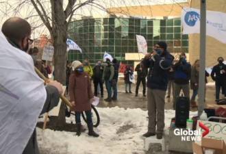 安省大学学生游行！加拿大多个高校罢工抗议