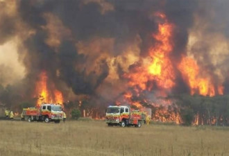 澳洲野火愈烧愈烈 研究：气候变迁是压倒性因素