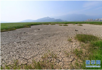 本月再次湖底朝天：鄱阳湖干涸原因与三峡工程