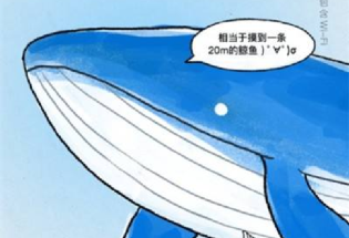 这一届年轻人，正在用“摸鱼”反抗“内卷”