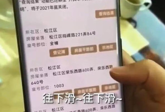 中国阿姨坐拥上海90套房106个车位 身价超3亿