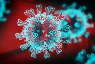 Omicron来袭英国政府明确表态：不封国 不封校