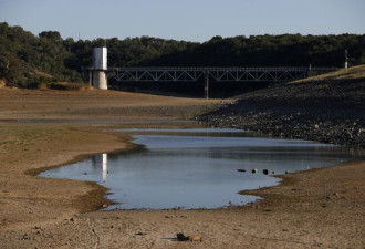 美国加州旱情严重闹水荒 官方：保证健康和用水