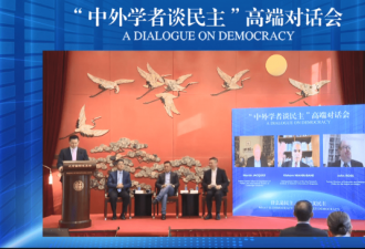 中国学者：中国是当之无愧的民主国家