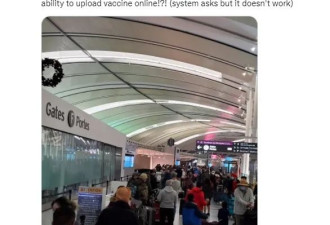 多伦多机场被挤爆：一片混乱！旅行难了！