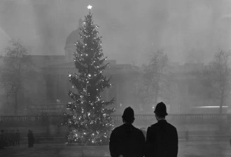 挪威年年给英国送圣诞树 今年送的却被嫌弃了
