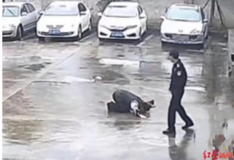 照片网络疯传：被拘留男子雨中流泪 跪谢民警