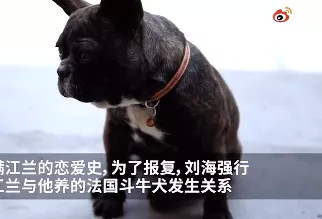 北京一男子强逼女友与狗发生性关系，丧心病狂