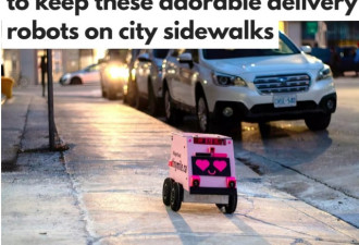 多伦多要禁止人行道上送货机器人，你怎么看