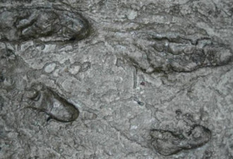 神秘脚印？研究发现370万年前人类足迹！