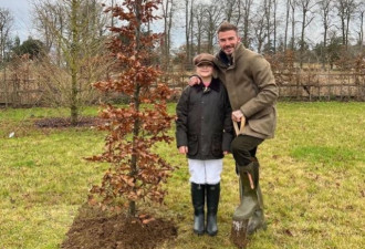 贝克汉姆和女儿一起植树 10岁小七长高变瘦