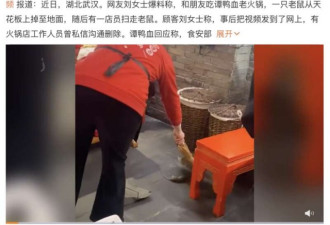 谭鸭血火锅天降老鼠砸到食客 半个娱乐圈曾捧场