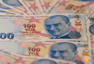 土耳其里拉贬值超50%，炒房者蜂拥而至