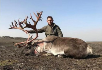 猎人射杀巨大驯鹿犯众怒 跨国狩猎旅程价格曝光