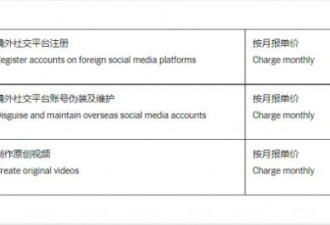 揭秘上海公安局文件：中国如何操纵脸书和推特