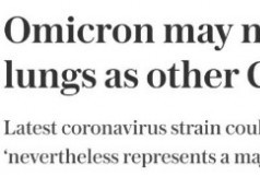 再添新证据：Omicron变种不易感染肺部