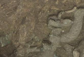 三星堆又上新 发现一条虎头虎脑的青铜龙