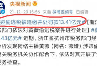 大家都在问:被罚13亿的薇娅究竟赚了多少钱