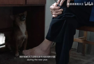 32年，1个工作人员，中国最孤独动物园