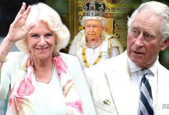 英王室圣诞节：王子丑闻不断公主被隔离