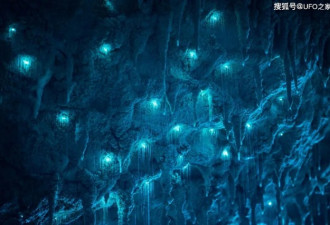 新西兰一个3000万年前的老洞穴 惊人自然现象！