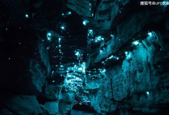 新西兰一个3000万年前的老洞穴 惊人自然现象！
