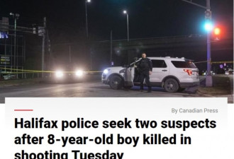 加拿大8岁男童圣诞前夕意外中弹身亡