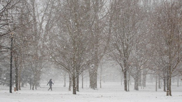 A person walks in a park during morning flurries in Kingston, Ont., on Wednesday December 8, 2021. THE CANADIAN PRESS/Lars Hagberg