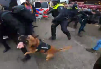 荷兰首都爆发反封锁抗议 警察放狗